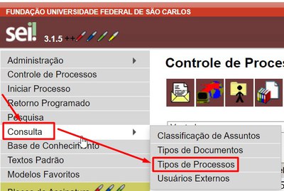 menu-consulta-tipo-processo.jpg