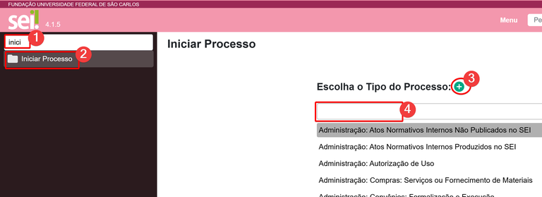 Prioridade no SEI-2.png