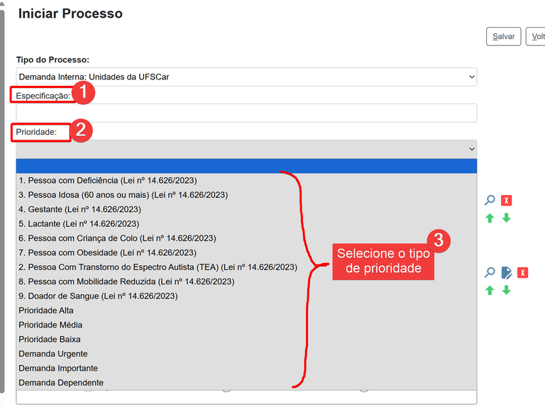 Prioridade no SEI-3.png