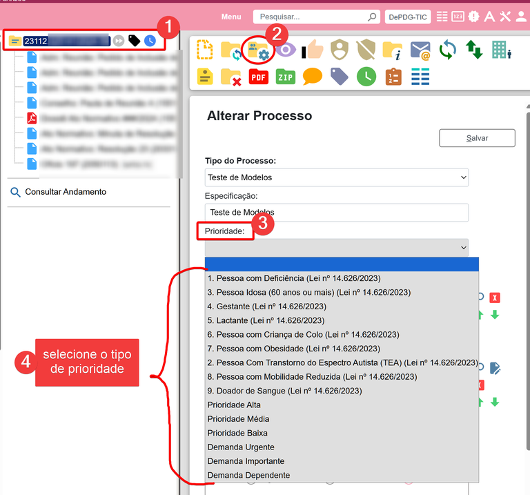 Prioridade no SEI-4.png